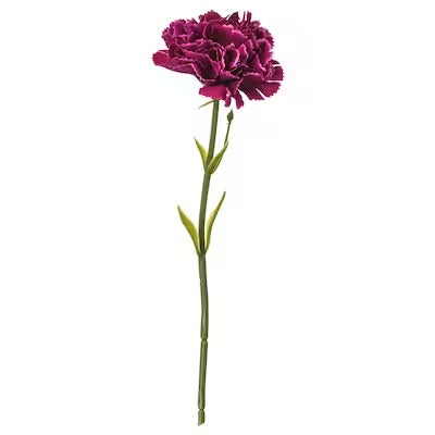 IKEA SMYCKA Artificial flower, carnation/dark lilac | IKEA Artificial plants & flowers | IKEA Plants & flowers | IKEA Decoration | Eachdaykart