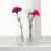IKEA SMYCKA Artificial flower, carnation/dark lilac | IKEA Artificial plants & flowers | IKEA Plants & flowers | IKEA Decoration | Eachdaykart