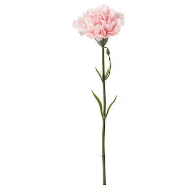 IKEA SMYCKA Artificial flower, carnation/pink | IKEA Artificial plants & flowers | IKEA Plants & flowers | IKEA Decoration | Eachdaykart