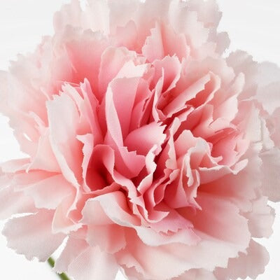 IKEA SMYCKA Artificial flower, carnation/pink | IKEA Artificial plants & flowers | IKEA Plants & flowers | IKEA Decoration | Eachdaykart