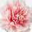 IKEA SMYCKA Artificial flower, carnation/pink | IKEA Artificial plants & flowers | IKEA Plants & flowers | IKEA Decoration | Eachdaykart