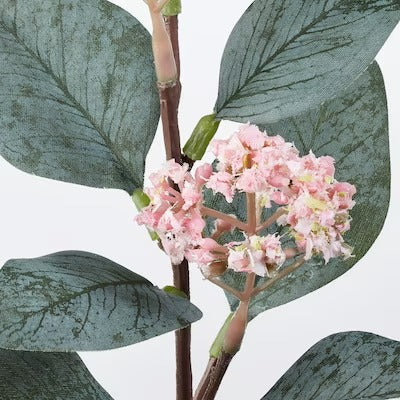 IKEA SMYCKA Artificial flower, eucalyptus/pink | IKEA Artificial plants & flowers | IKEA Plants & flowers | IKEA Decoration | Eachdaykart