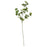 IKEA SMYCKA Artificial flower, Ginkgo/green | IKEA Artificial plants & flowers | IKEA Plants & flowers | IKEA Decoration | Eachdaykart
