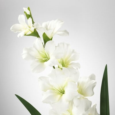 IKEA SMYCKA Artificial flower, Gladiolus/white | IKEA Artificial plants & flowers | IKEA Plants & flowers | IKEA Decoration | Eachdaykart