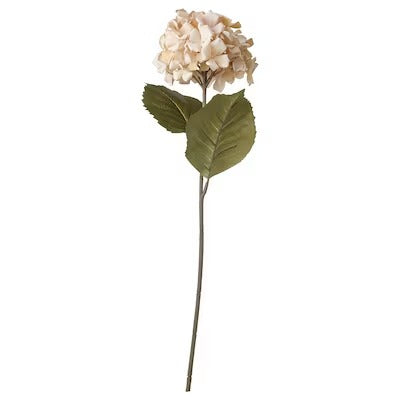 IKEA SMYCKA Artificial flower, in/outdoor/Hydrangea light beige | IKEA Artificial plants & flowers | IKEA Plants & flowers | IKEA Decoration | Eachdaykart