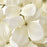 IKEA SMYCKA Artificial flower, in/outdoor Hydrangea/off-white | IKEA Artificial plants & flowers | IKEA Plants & flowers | IKEA Decoration | Eachdaykart