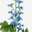 IKEA SMYCKA Artificial flower, in/outdoor/Larkspur blue | IKEA Artificial plants & flowers | IKEA Plants & flowers | IKEA Decoration | Eachdaykart