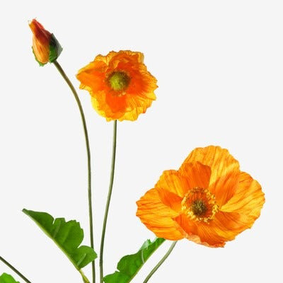 IKEA SMYCKA Artificial flower, in/outdoor/Poppy orange | IKEA Artificial plants & flowers | IKEA Plants & flowers | IKEA Decoration | Eachdaykart