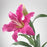 IKEA SMYCKA Artificial flower, Lily/pink | IKEA Artificial plants & flowers | IKEA Plants & flowers | IKEA Decoration | Eachdaykart