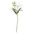 IKEA SMYCKA Artificial flower, Lily/white | IKEA Artificial plants & flowers | IKEA Plants & flowers | IKEA Decoration | Eachdaykart