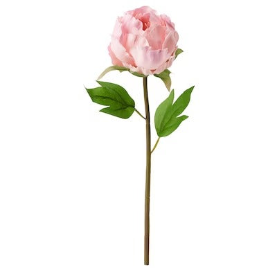 IKEA SMYCKA Artificial flower, Peony/pink | IKEA Artificial plants & flowers | IKEA Plants & flowers | IKEA Decoration | Eachdaykart