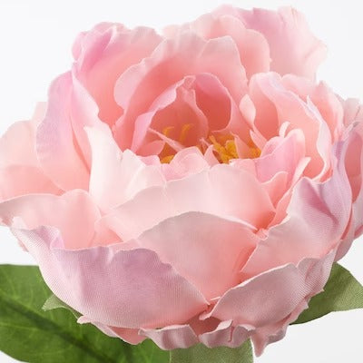 IKEA SMYCKA Artificial flower, Peony/pink | IKEA Artificial plants & flowers | IKEA Plants & flowers | IKEA Decoration | Eachdaykart
