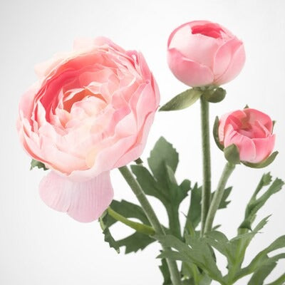 IKEA SMYCKA Artificial flower, Ranunculus/pink | IKEA Artificial plants & flowers | IKEA Plants & flowers | IKEA Decoration | Eachdaykart