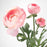 IKEA SMYCKA Artificial flower, Ranunculus/pink | IKEA Artificial plants & flowers | IKEA Plants & flowers | IKEA Decoration | Eachdaykart