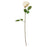 IKEA SMYCKA Artificial flower, Rose/white | IKEA Artificial plants & flowers | IKEA Plants & flowers | IKEA Decoration | Eachdaykart