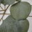 IKEA SMYCKA Artificial garland, in/outdoor eucalyptus | IKEA Artificial plants & flowers | IKEA Plants & flowers | IKEA Decoration | Eachdaykart