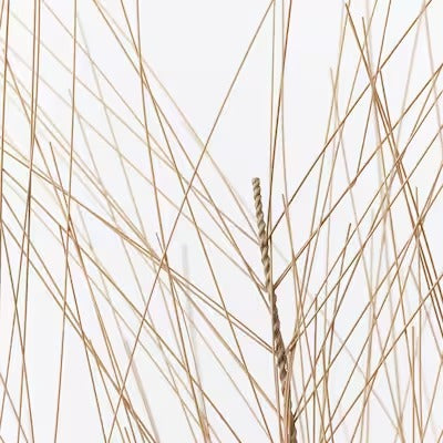 IKEA SMYCKA Artificial spray, in/outdoor grass | IKEA Artificial plants & flowers | IKEA Plants & flowers | IKEA Decoration | Eachdaykart