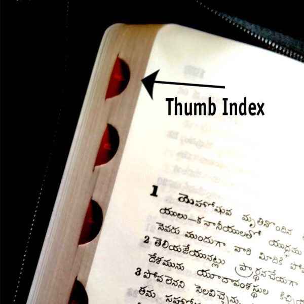 Holy bible telugu korean giant print leather cover gold edge thumb index by bsi - EachDayKart