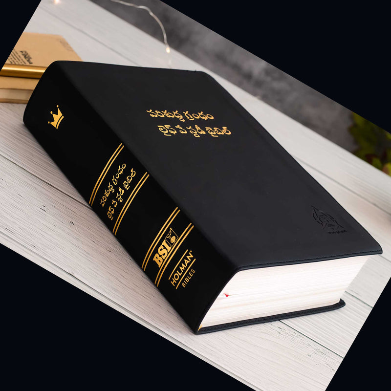 Lifeway Telugu Study Bible, Black - Telugu Study Bibles - EachDayKart