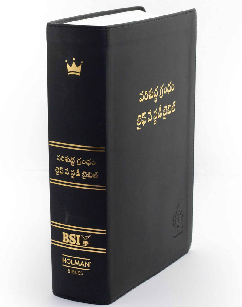 Lifeway Telugu Study Bible, Black - Telugu Study Bibles - EachDayKart