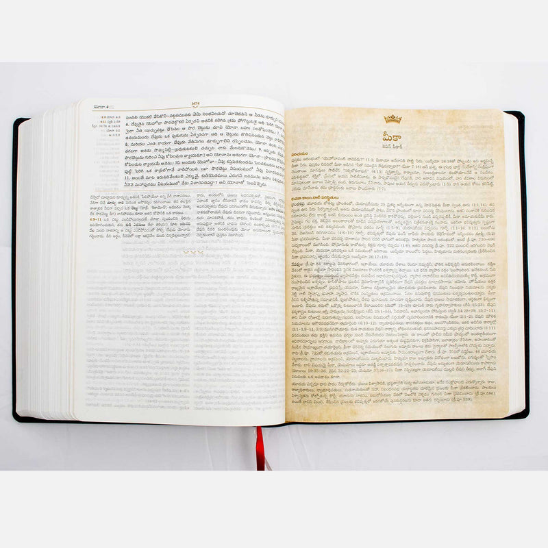 Lifeway Telugu Study Bible, Black - Telugu Study Bibles - EachDayKart