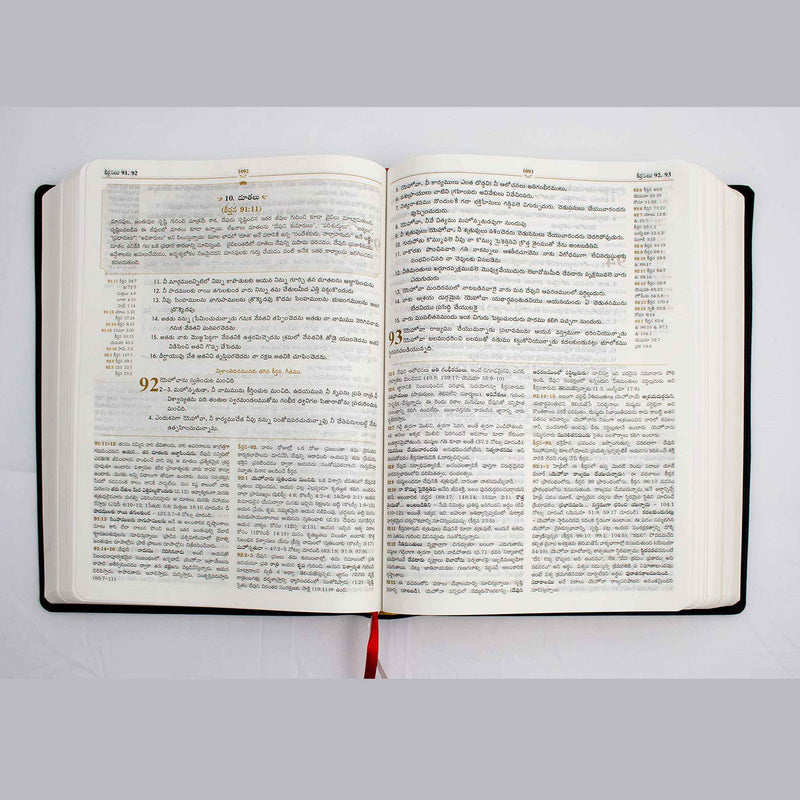 Lifeway Telugu Study Bible, Black - Telugu Study Bibles - EachDayKart