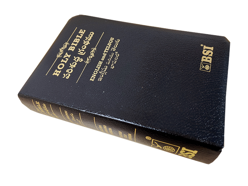 Telugu and English Parallel Bible | Telugu Englsih Diglot Bible | Telugu Bibles - EachDayKart