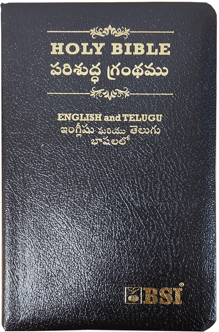 Telugu and English Parallel Bible | Telugu Englsih Diglot Bible | Telugu Bibles - EachDayKart