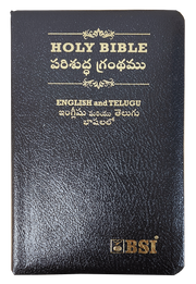 Telugu and English Parallel Bible | Telugu Englsih Diglot Bible | Telugu Bibles - EachDayKart