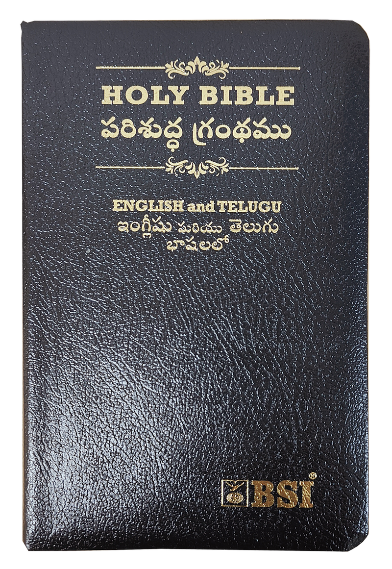 Telugu and English Parallel Bible | Telugu Englsih Diglot Bible | Telugu Bibles - EachDayKart
