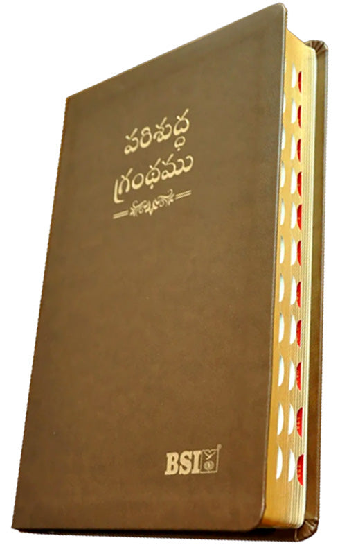 Telugu OV Gilt DY TI Brown PU Yaap | Telugu Bibles | Bibles in Telugu