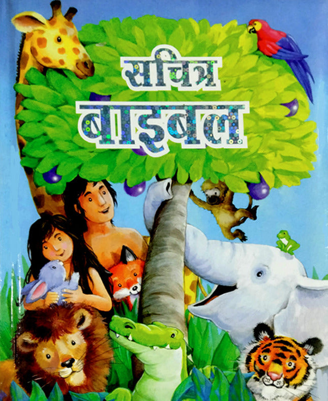 The Picture Bible in hindi | The Bible for children in Hindi | Hindi Christian Books - EachDayKart