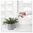 IKEA TOMAT Spray bottle, white | IKEA Growing accessories | IKEA Plants & flowers | IKEA Decoration | Eachdaykart