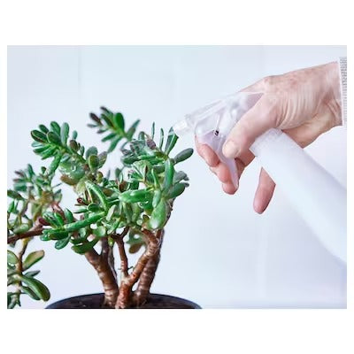 IKEA TOMAT Spray bottle, white | IKEA Growing accessories | IKEA Plants & flowers | IKEA Decoration | Eachdaykart - EachDayKart