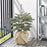 IKEA VINTERFINT Artificial potted plant, in/outdoor jute/Christmas tree green | IKEA Artificial plants & flowers | IKEA Plants & flowers | IKEA Decoration | Eachdaykart